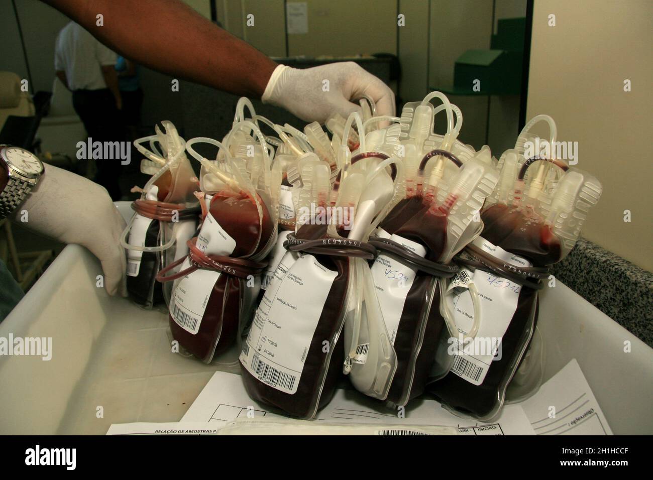 salvador, bahia / brésil - 10 février 2009 : poche de sang donnée dans le centre de sang de la ville d'Eunapolis.Le sang est distribué dans les hôpitaux publics de Bah Banque D'Images