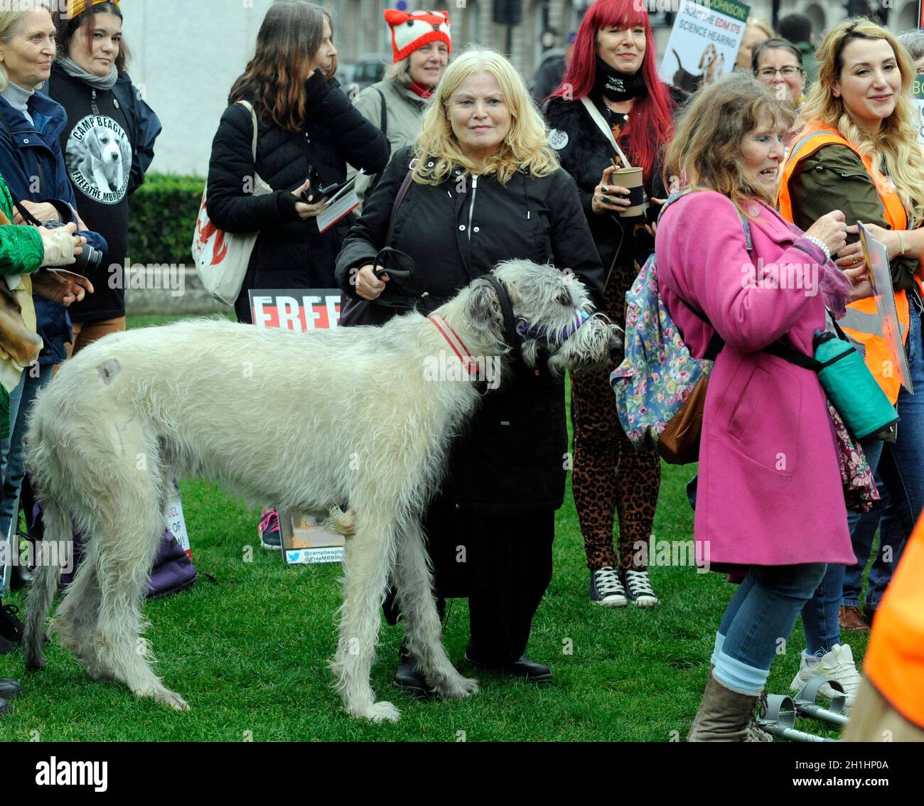 Londres, Royaume-Uni.18 octobre 2021.Manifester pour libérer les beagles du MBR sur la place du Parlement afin de coïncider avec les hommages rendus à Sir David Amess qui aimait les animaux.Credit: JOHNNY ARMSTEAD/Alamy Live News Banque D'Images