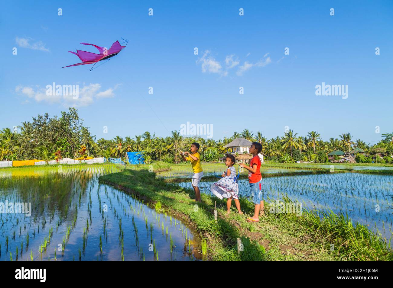 Bali, Indonésie - 17 septembre 2019 : les enfants lancent un cerf-volant dans un champ de riz à Ubud, sur l'île de Bali, en Indonésie Banque D'Images