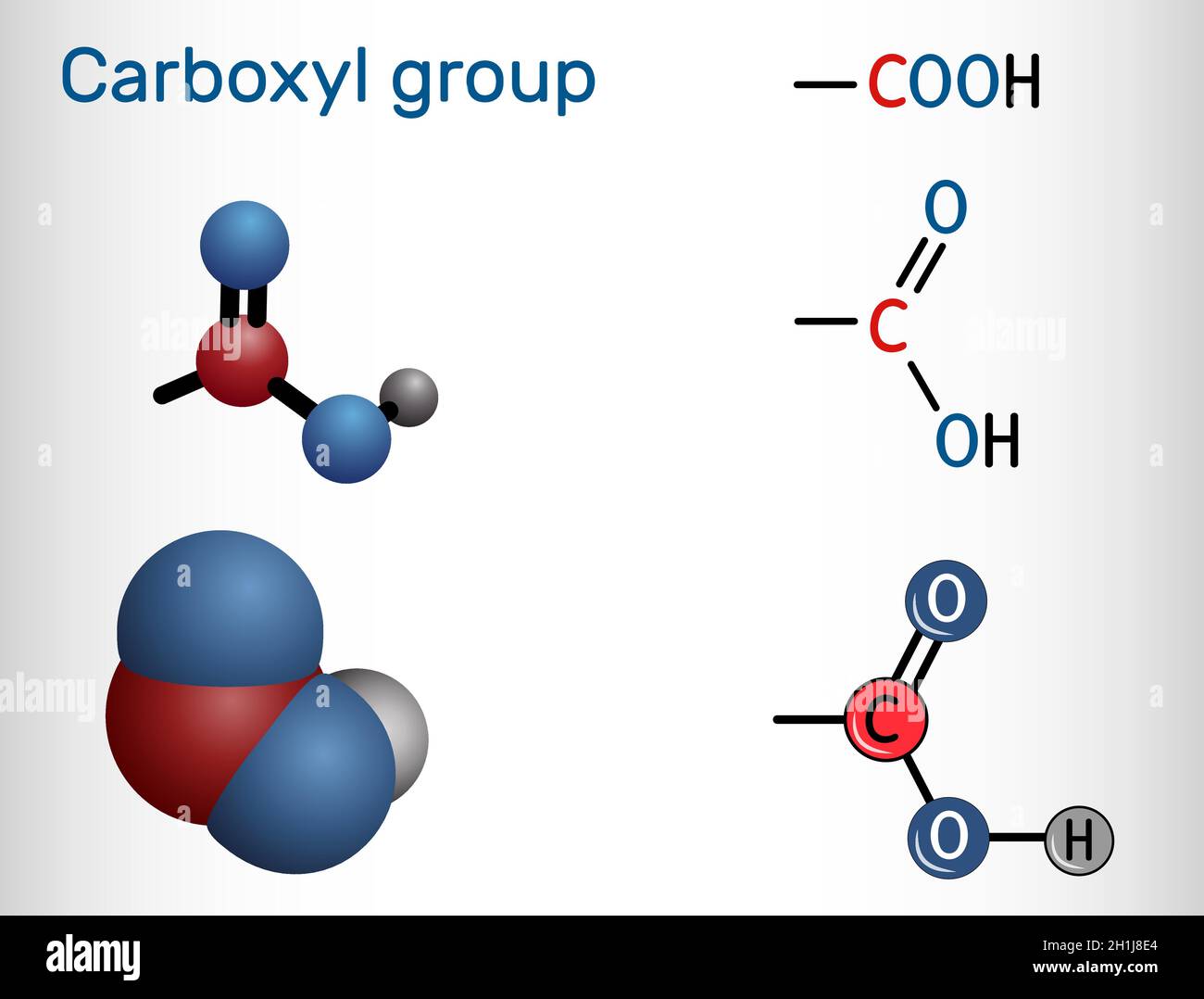 Groupe carboxyle (carboxy).Le groupe fonctionnel est défini comme étant le carbonyle et l'hydroxyle attachés à un atome de carbone.Le groupe carboxyle est observé dans les acides carboxyliques Illustration de Vecteur