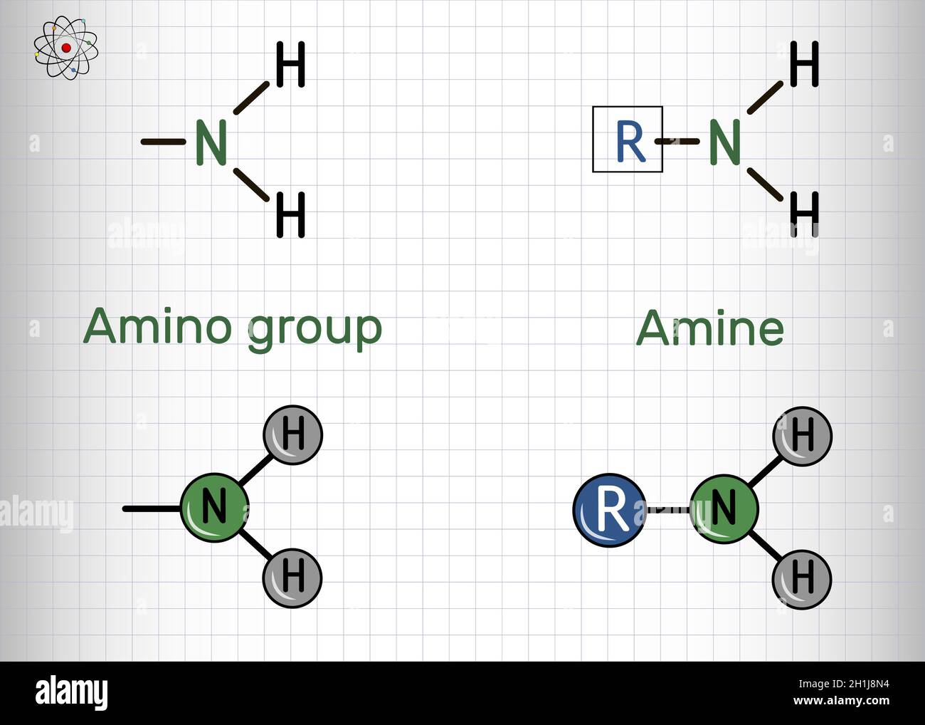 Groupe aminé (primaire, -NH2) et composé d'amine.Il s'agit d'un groupe fonctionnel composé d'atomes d'azote liés à des atomes d'hydrogène.Groupe aminé attaché à un Illustration de Vecteur
