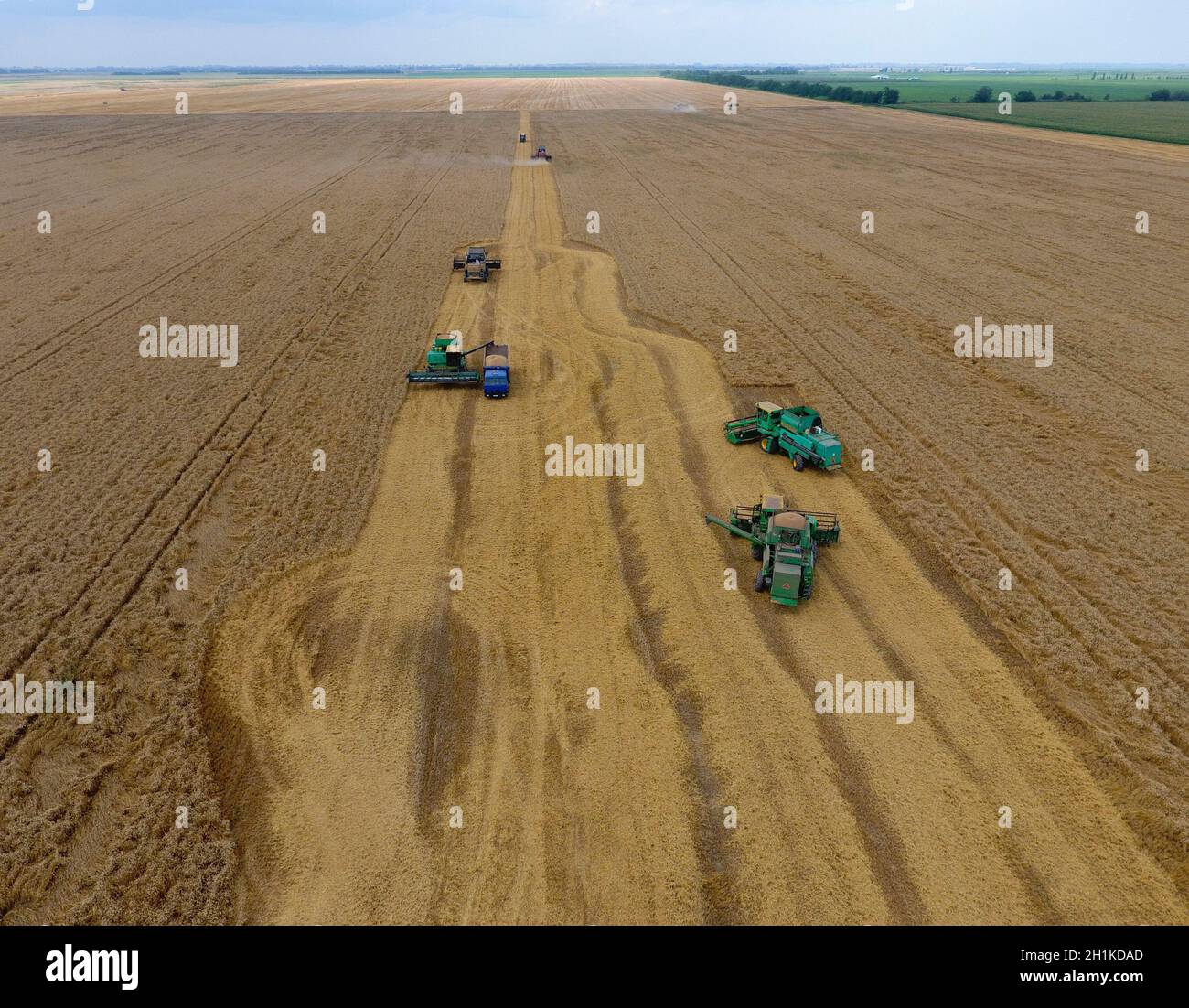 Krasnodar, Russie - le 22 juillet 2017 : La récolte du blé l'ensileuse. Les machines agricoles du grain de la récolte sur le terrain. Les machines agricoles en exploitation. Banque D'Images
