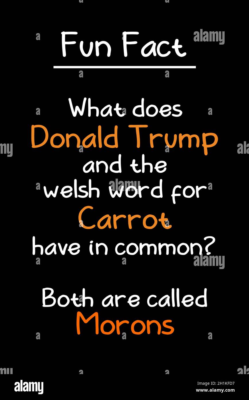 Donald Trump et Welsh Carrot Banque D'Images