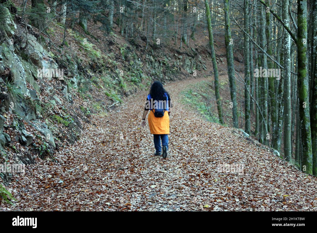 Eine Frau spaziert durch das Herbstlaub im Hochschwaerzwald Banque D'Images