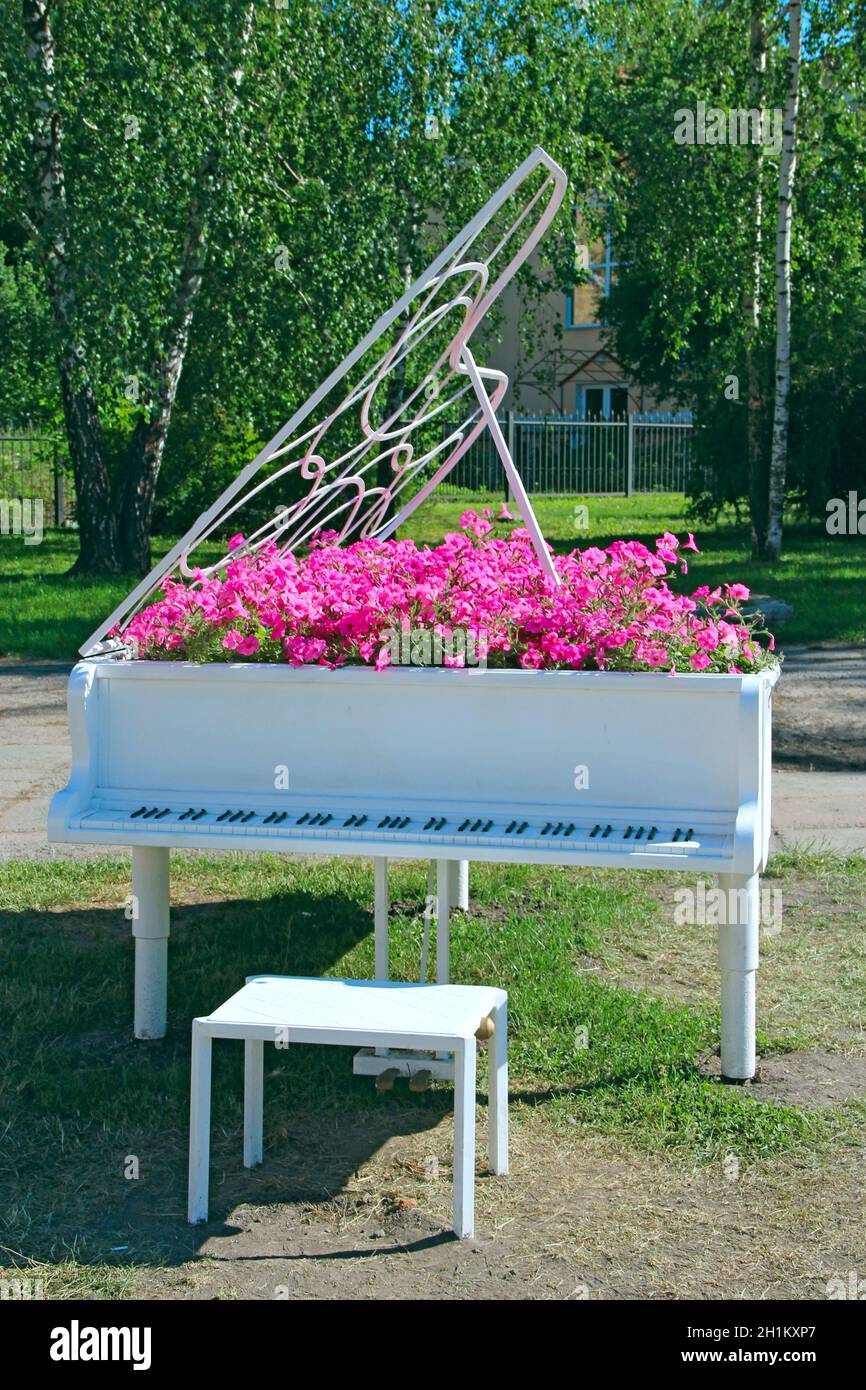 Piano avec notes et pétunia fleurir à l'intérieur.Fleurs de pétunias rouges qui poussent au piano à queue en plein air.Clavier instrument de musique.Terrain d'origine Banque D'Images