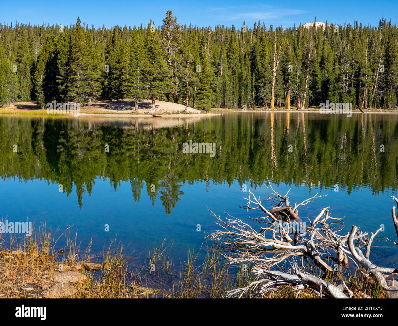 Randonnée avec de belles réflexions à Dog Lake, Tuolumne Meadows, parc national de Yosemite, Californie, États-Unis Banque D'Images