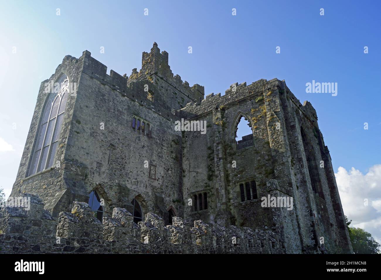 L'abbaye de Tintern est aujourd'hui une ancienne abbaye cistercienne du comté de Wexford en République d'Irlande. Banque D'Images