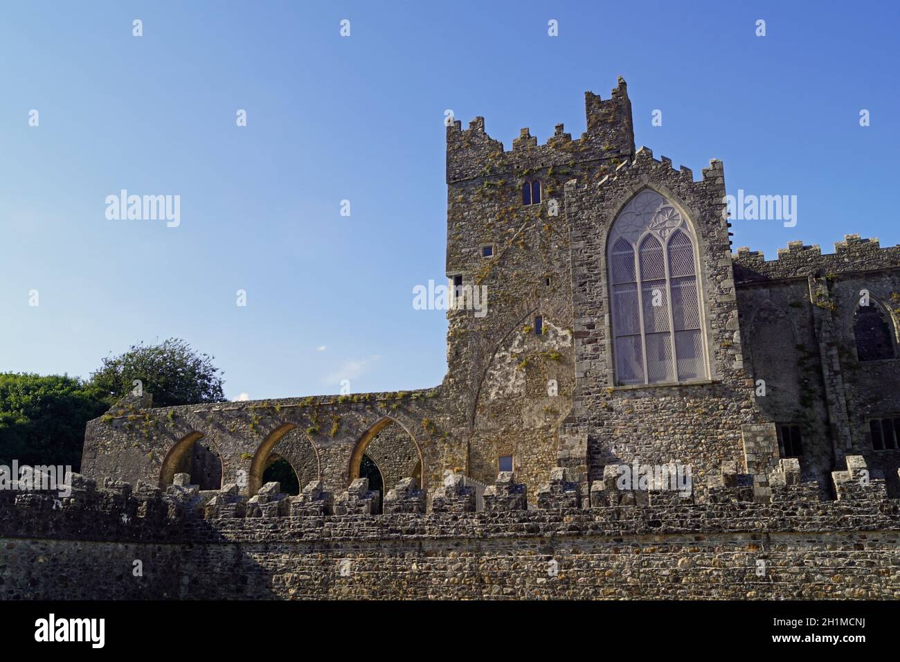 L'abbaye de Tintern est aujourd'hui une ancienne abbaye cistercienne du comté de Wexford en République d'Irlande. Banque D'Images