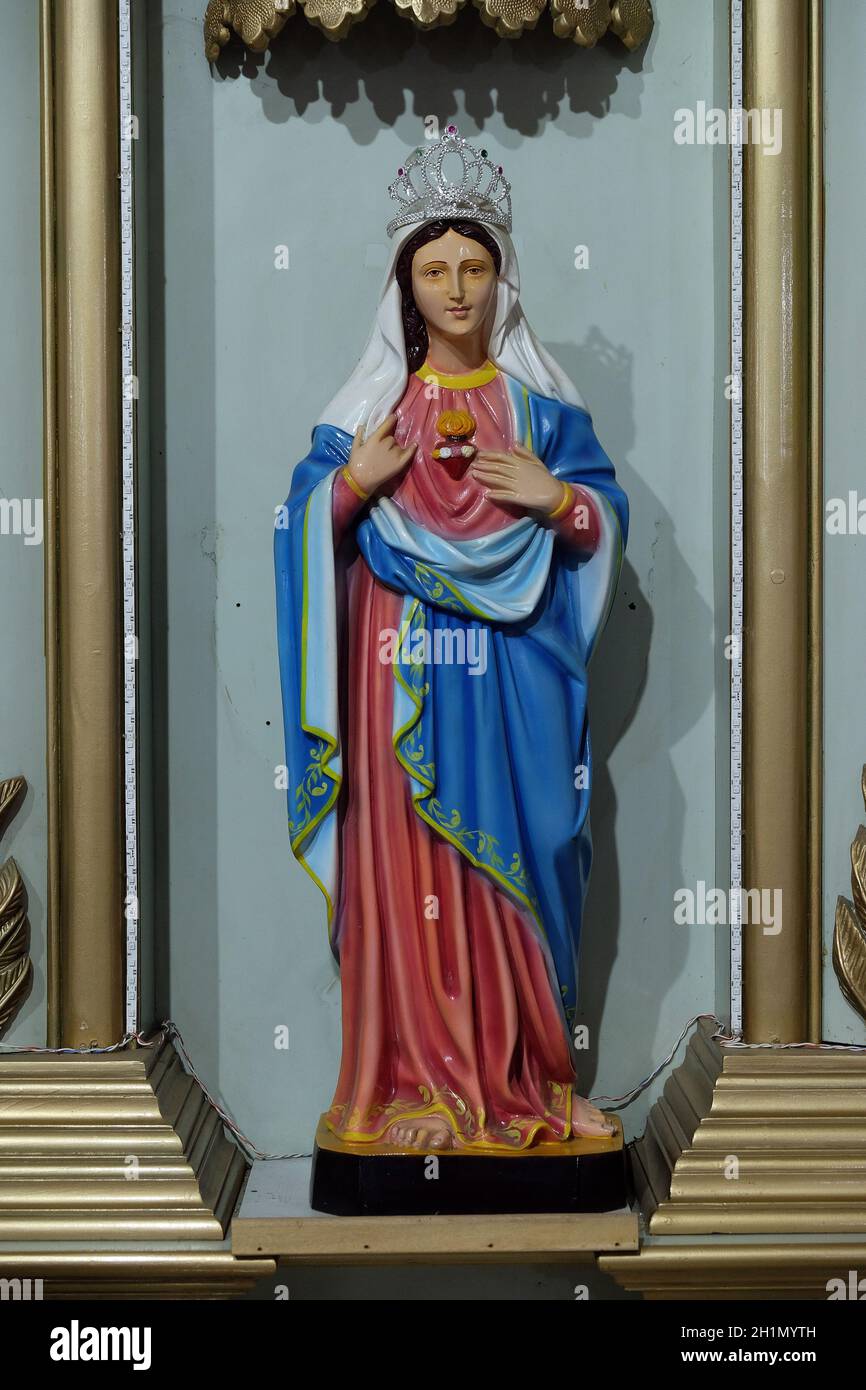 Le coeur immaculé de Marie, statue de la cathédrale catholique du coeur