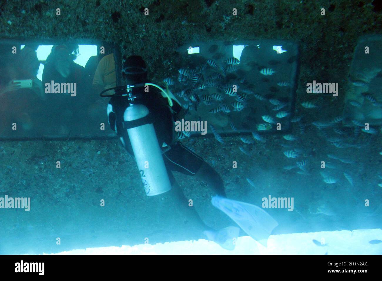 Fish Balloons Banque D Image Et Photos Alamy