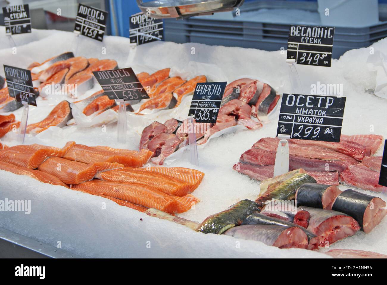 Le poisson frais congelé dans la glace est vendu en magasin.Morceaux de  paddlefish de saumon.Filet de truite, esturgeon, saumon congelé au  réfrigérateur.Saumon et esturg Photo Stock - Alamy