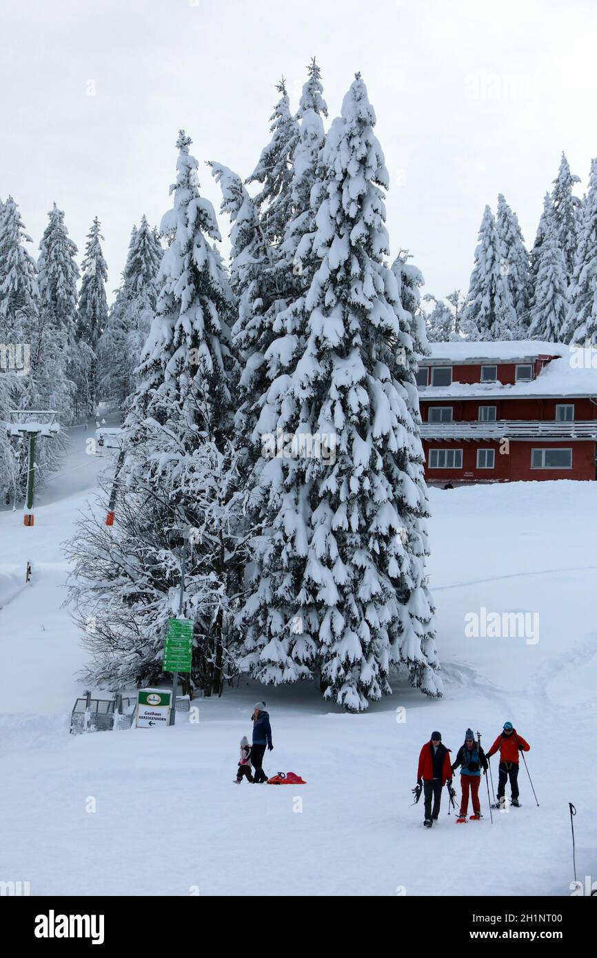 Themenbild - Wintereinbruch im Schwarzwald - Die Lifte stehen STILL, nur wenige Wintersportler tummelten sich wie hier am Grafenmatt am Feldberg im SC Banque D'Images