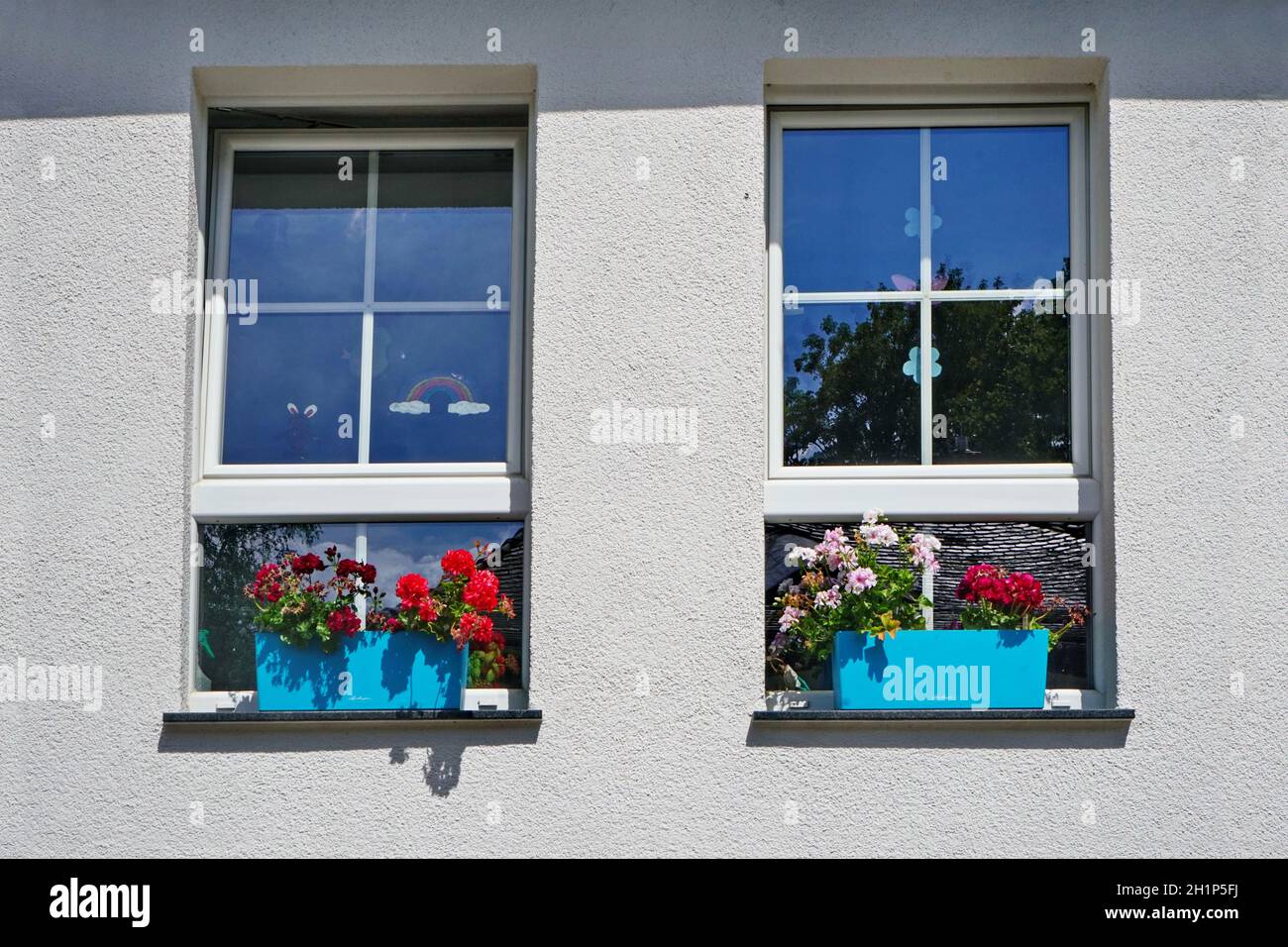 Deux fenêtres sur un mur blanc en été chaud avec fleurs bleues filles.Fleurs de différentes couleurs.Rouge, bordeaux, violet clair.Réflexions du ciel et Banque D'Images