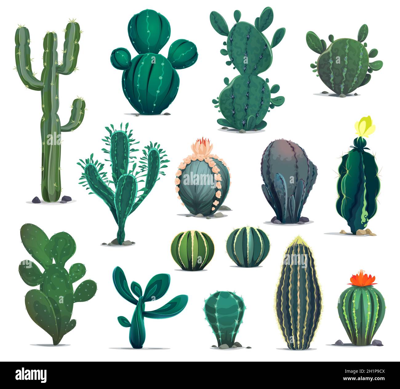 Cactus du désert mexicain.Dessins animés plantes succulentes.La flore du désert du Mexique, les cactus exotiques ou le canon à fleurs, les cactus senita et saguaro.Ouest Illustration de Vecteur