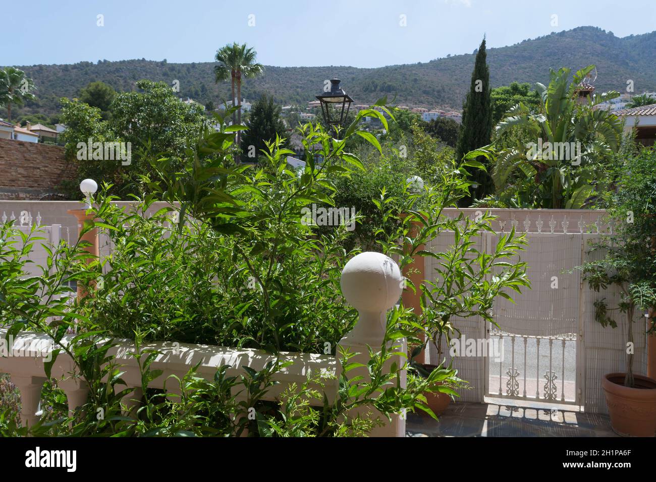 Terrasses balustrades avec vue sur la mer, ciel bleu et fond floral Banque D'Images