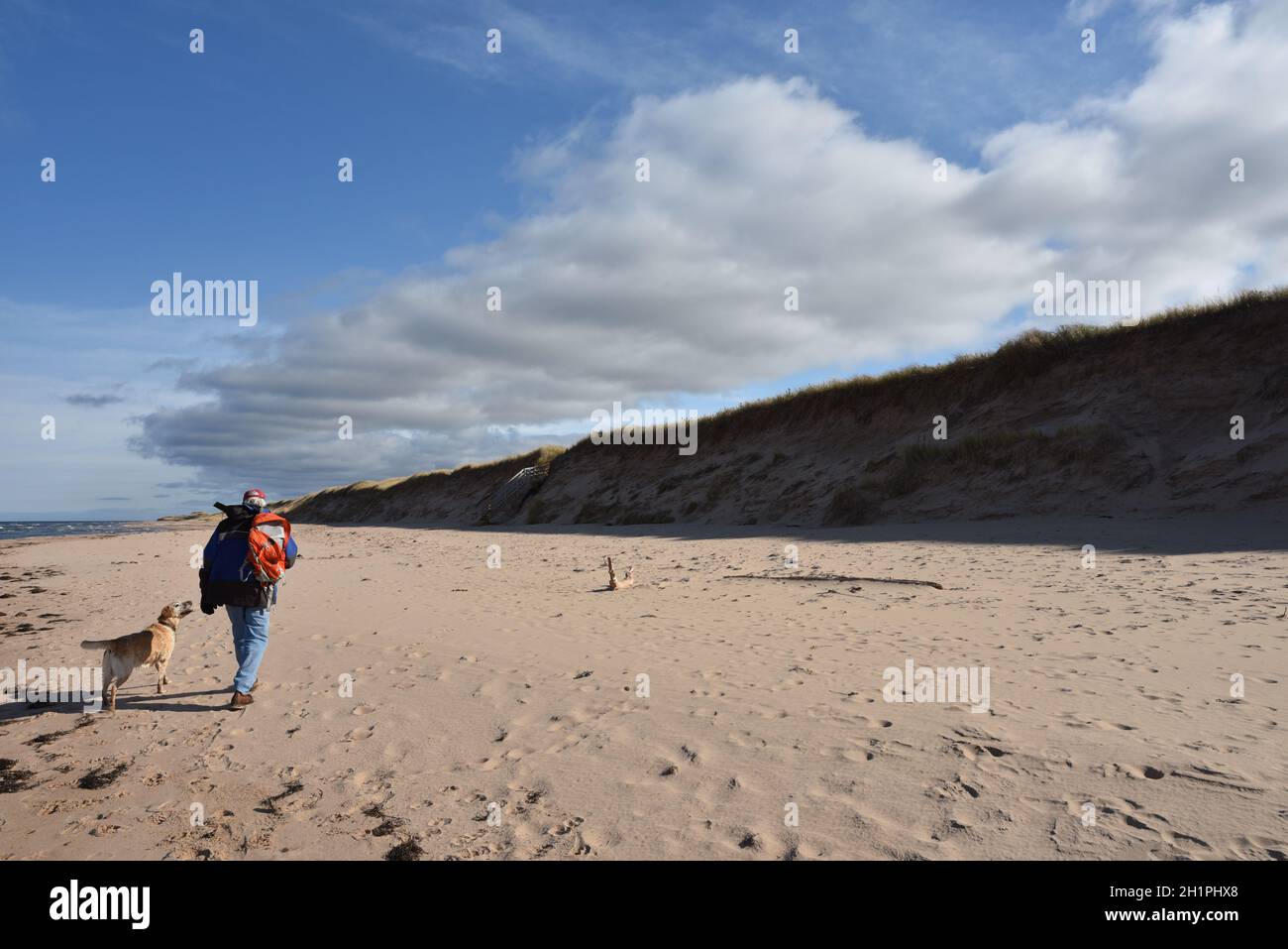 Un homme et son chien marchent le long d'une plage déserte à l'Île-du-Prince-Édouard, dans les provinces Maritimes, au Canada, à Greenwich, dans le parc national de l'Île-du-Prince-Édouard. Banque D'Images