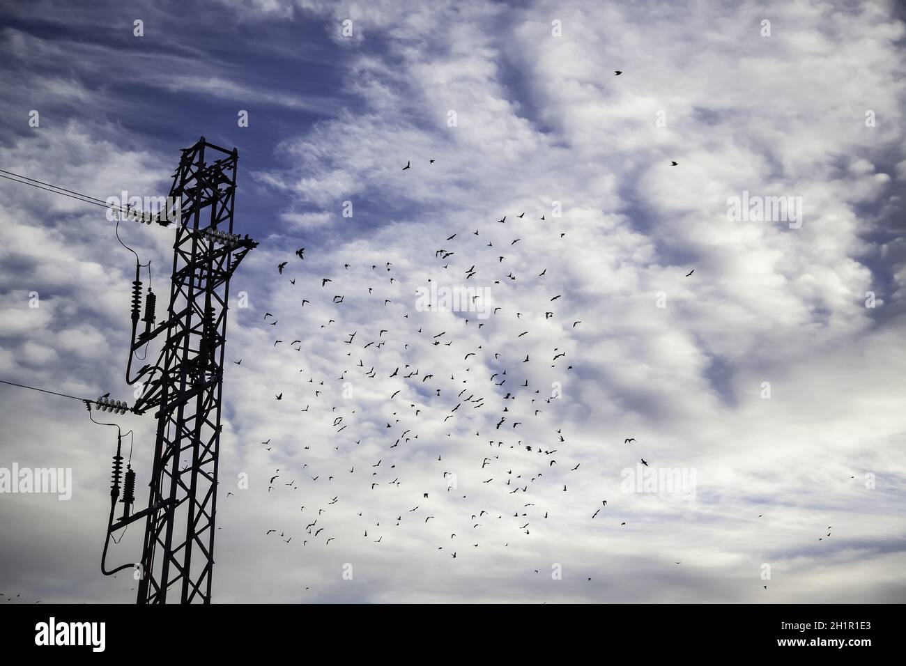 Détail de la haute tension et du transport d'électricité dans la ville Banque D'Images