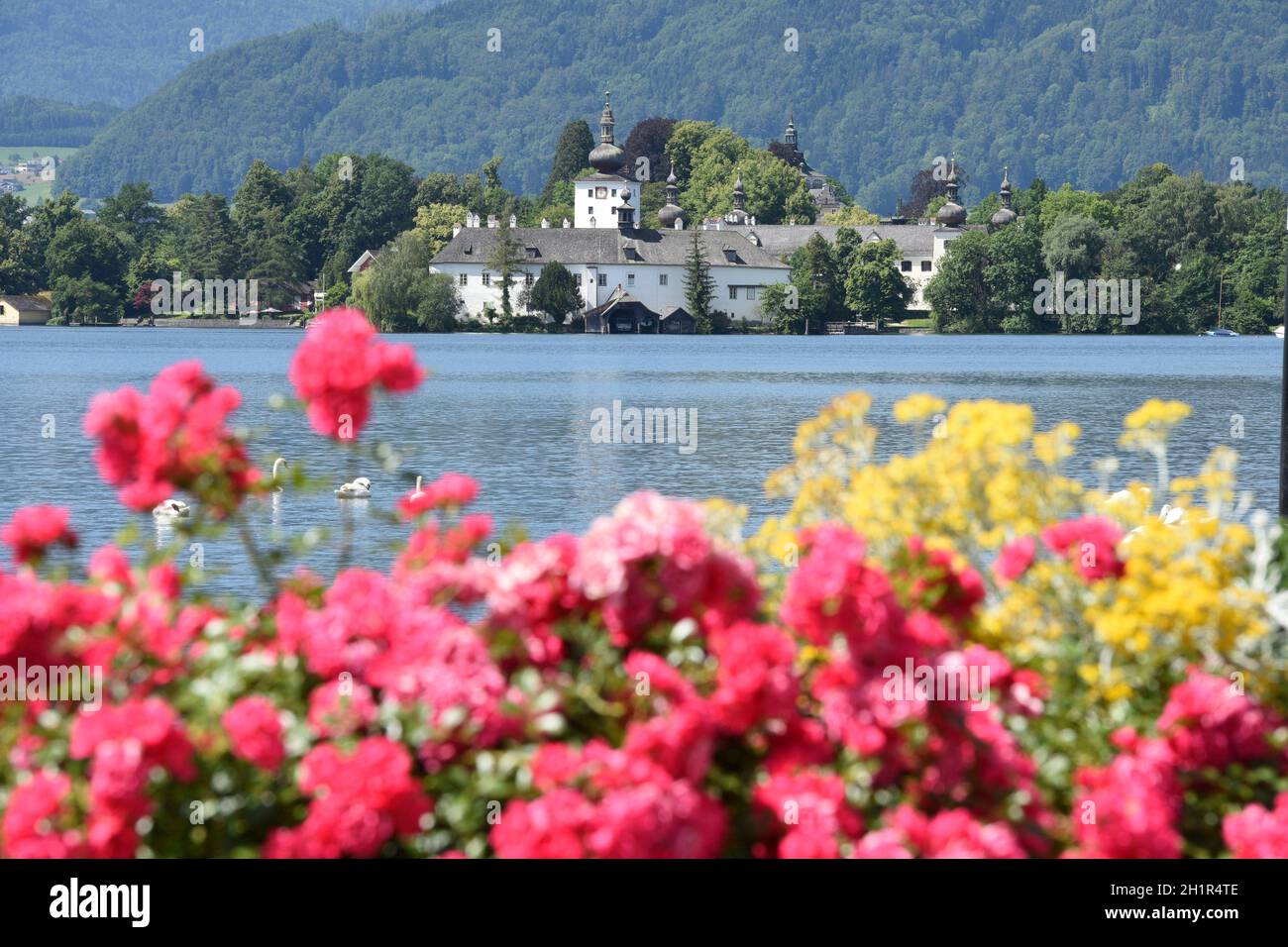 DAS Seeschloss Ort am Traunsee in Gmunden mit Blumen und Schwänen, Salzkammergut, Bezirk Gmunden, Oberösterreich, Österreich,Europa - le château du lac Banque D'Images