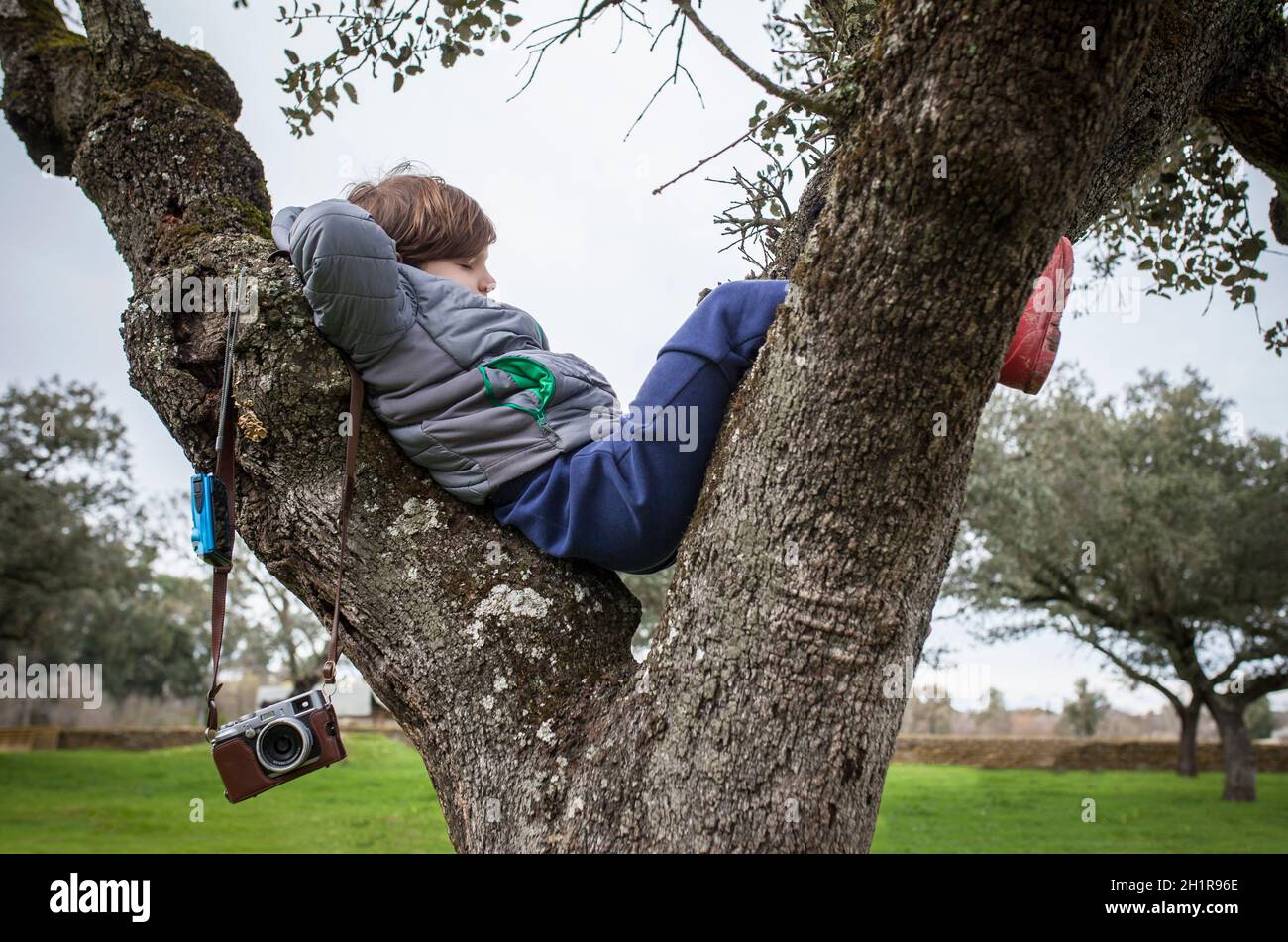 Enfant garçon reposant sur l'arbre après avoir pris des photos dans la nature. Les enfants découvrent la nature par la photographie Banque D'Images