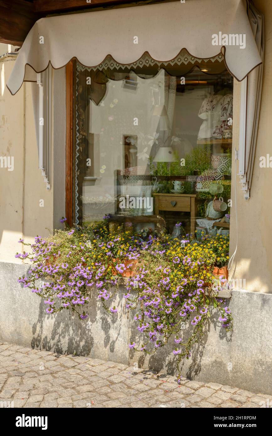 Détail de la petite boutique fenêtre avec blossomig fleurs autour, tourné par un beau jour d'été à Gressoney Saint Jean, vallée du Lys, Aoste, Italie Banque D'Images