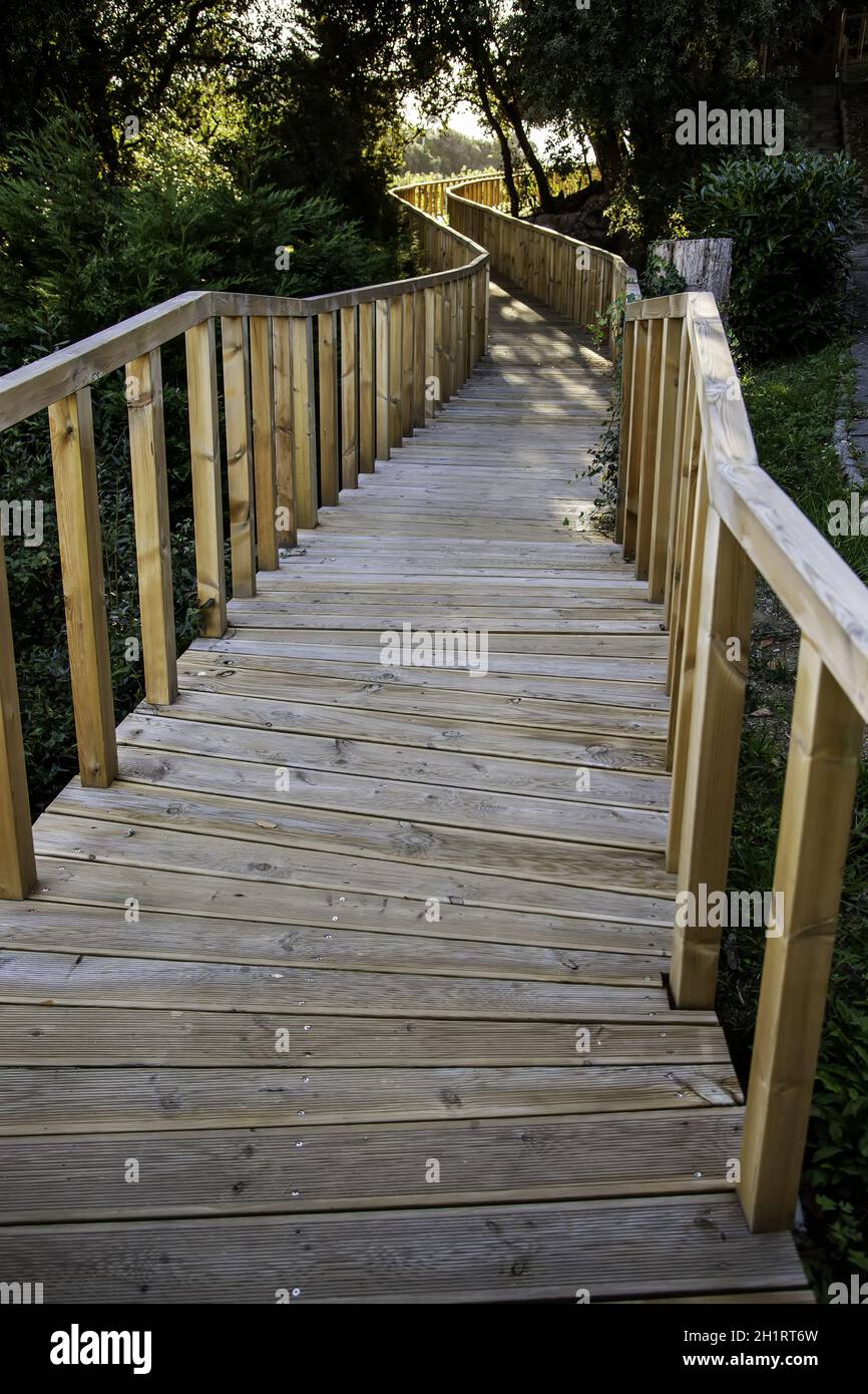 Détail de la marche à travers la campagne et la nature, randonnée vie saine Banque D'Images