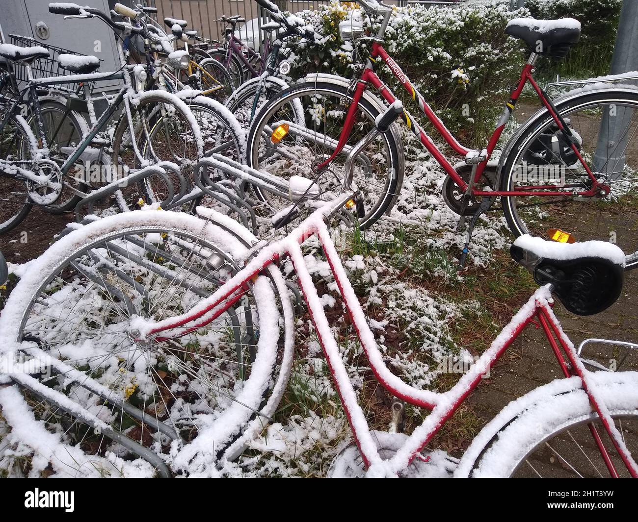 Eingeschneite Fahrräder am Hauptbahnhof von Freiburg im Breisgau - retour des Winters in der Nacht zum Mittwoch.Selbst à Freiburg im Breisgau la Banque D'Images