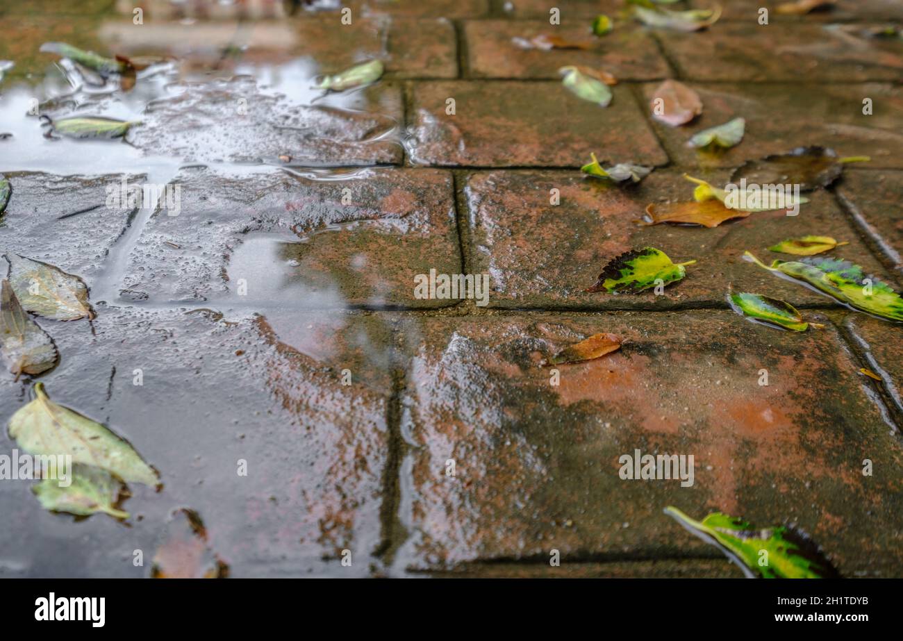 revêtement extérieur en ciment imperméable eau humide. pavé en béton estampé motif de carreaux en pierre d'ardoise, revêtement extérieur décoratif en ciment Banque D'Images