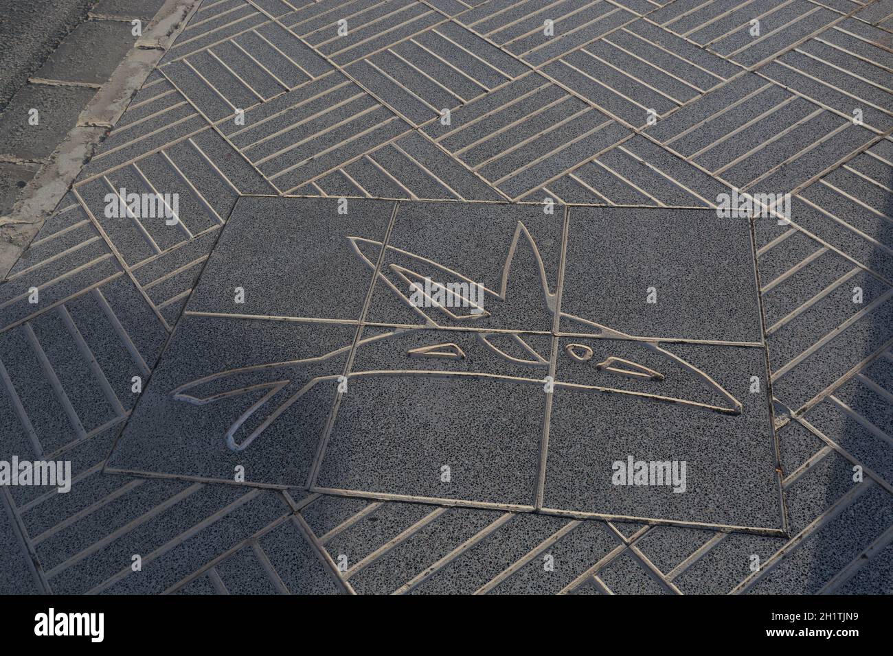Dalle de pierre sur un trottoir avec une photo d'un dauphin Banque D'Images