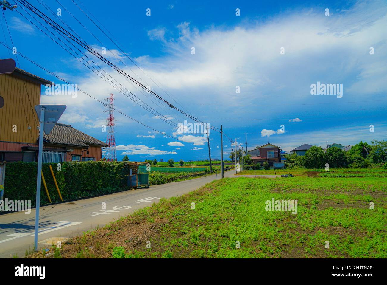 Matsudo se décisaille de la campagne. Lieu de tournage: Préfecture de Chiba Banque D'Images