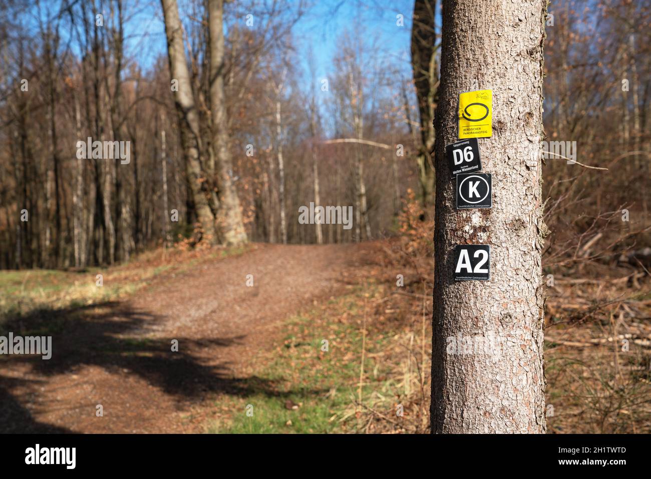 KURTEN, ALLEMAGNE - 6 MARS 2021: Sentier de randonnée de longue distance Bergischer Panoramasteig avec l'accent sur le typique waymark le 6 mars 2021 en Allemagne Banque D'Images