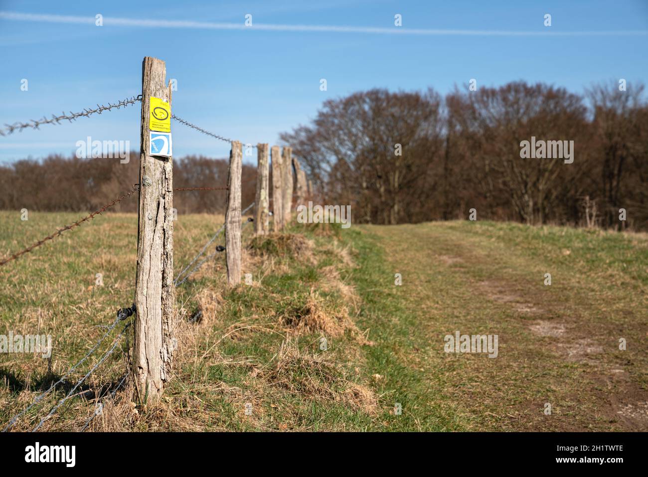 KURTEN, ALLEMAGNE - 6 MARS 2021: Sentier de randonnée de longue distance Bergischer Panoramasteig avec l'accent sur le typique waymark le 6 mars 2021 en Allemagne Banque D'Images