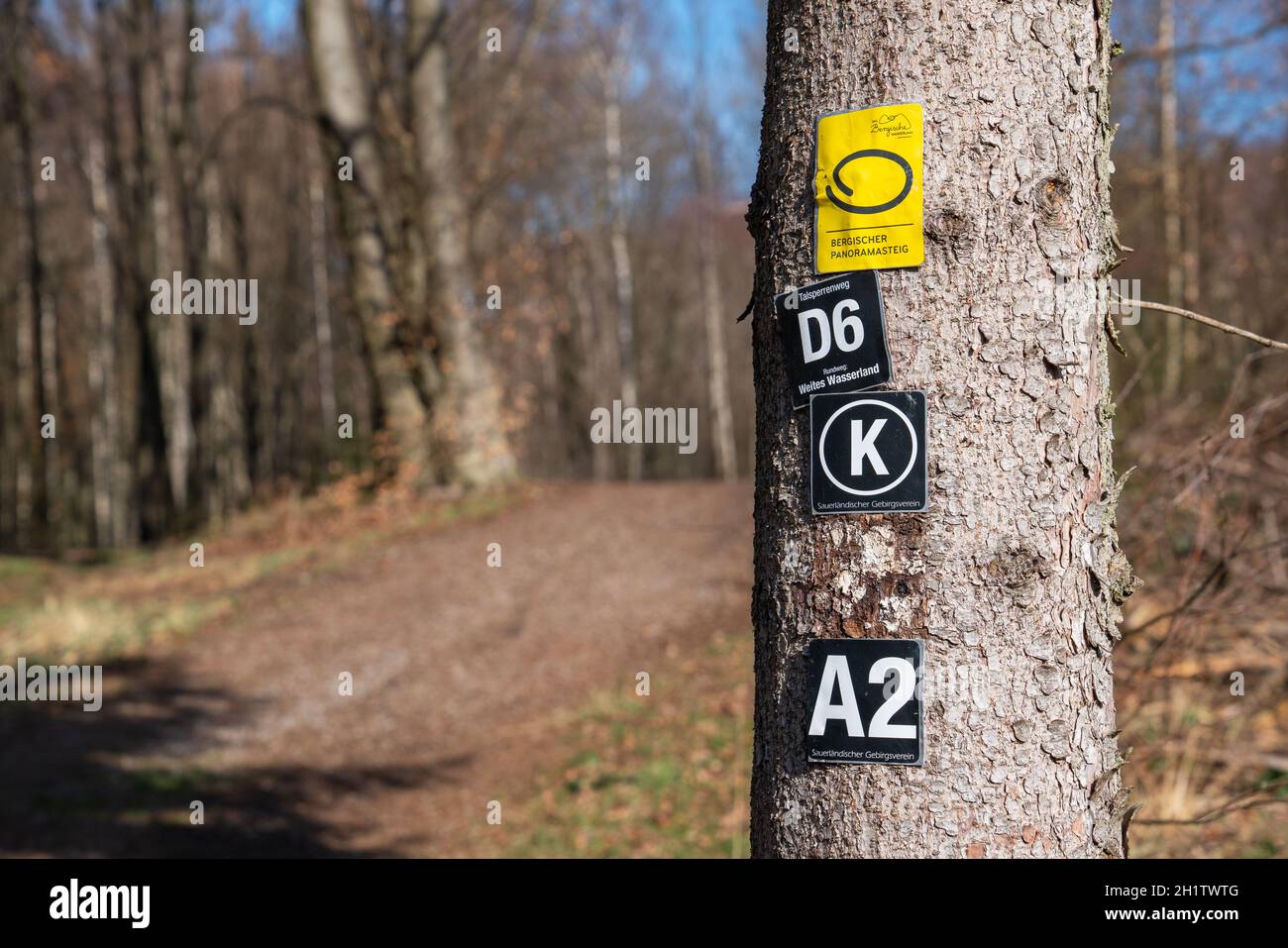 KURTEN, ALLEMAGNE - 6 MARS 2021: Sentier de randonnée de longue distance Bergischer Panoramasteig avec l'accent sur le typique waymark le 6 mars 2021 en Allemagne Banque D'Images