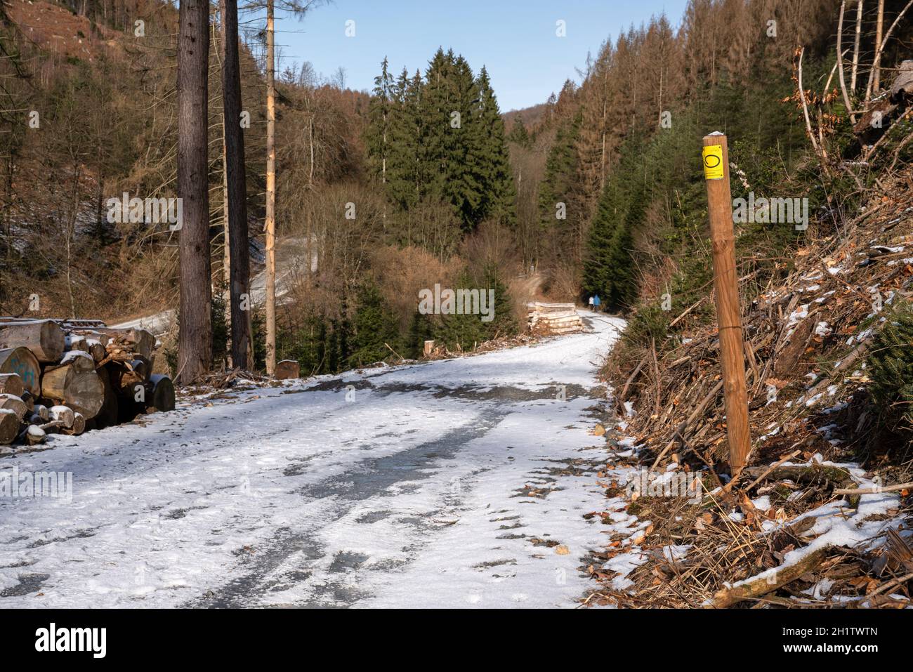 LINDLAR, ALLEMAGNE - 14 FÉVRIER 2021 : sentier de randonnée de longue distance Bergischer Panoramasteig en hiver avec un accent sur le typique waymark de février Banque D'Images