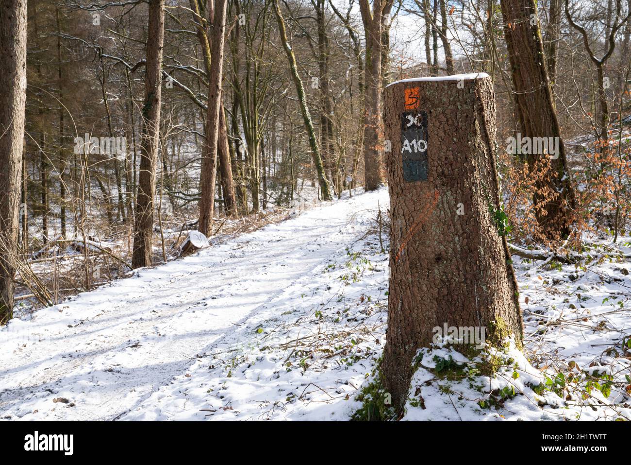 ODENTHAL, ALLEMAGNE - 10 FÉVRIER 2021 : sentier de randonnée de longue distance Bergischer Weg en hiver avec un accent sur le typique waymark le 10 février 2021 Banque D'Images
