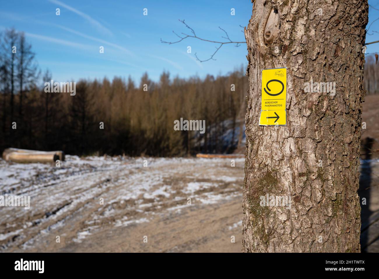 LINDLAR, ALLEMAGNE - 14 FÉVRIER 2021 : sentier de randonnée de longue distance Bergischer Panoramasteig en hiver avec un accent sur le typique waymark de février Banque D'Images
