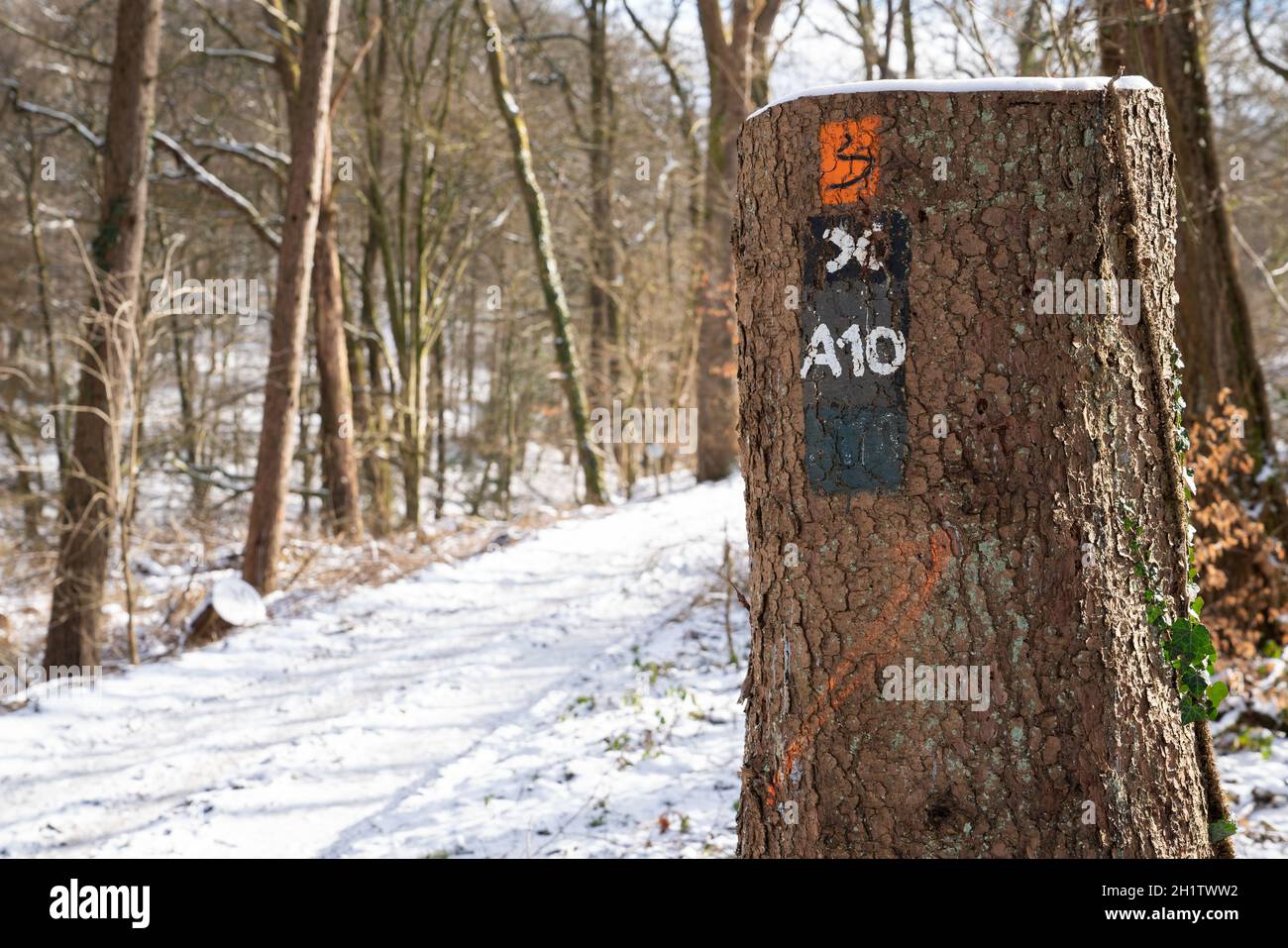 ODENTHAL, ALLEMAGNE - 10 FÉVRIER 2021 : sentier de randonnée de longue distance Bergischer Weg en hiver avec un accent sur le typique waymark le 10 février 2021 Banque D'Images