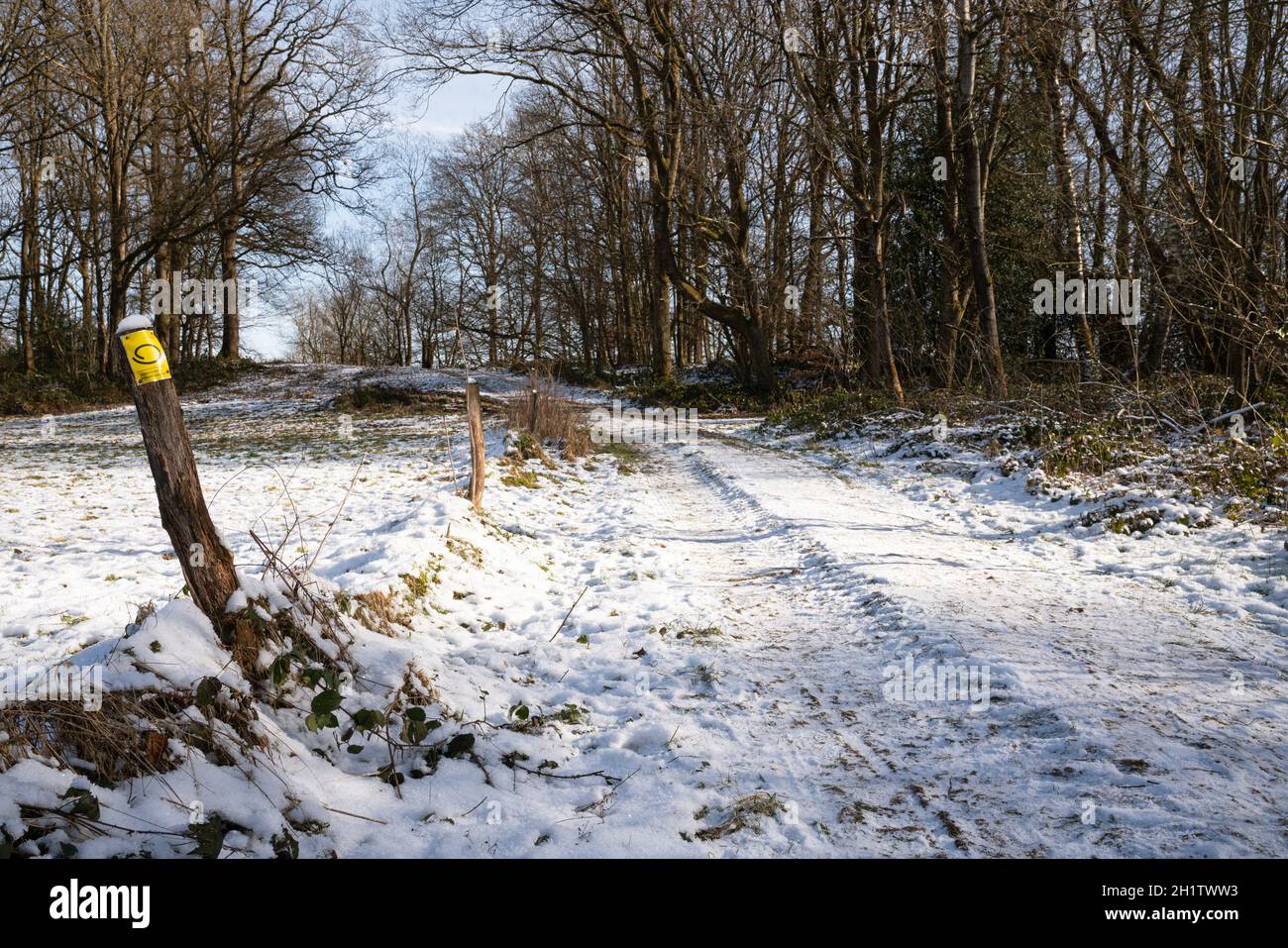LINDLAR, ALLEMAGNE - 14 FÉVRIER 2021 : sentier de randonnée de longue distance Bergischer Panoramasteig en hiver avec un accent sur le typique waymark de février Banque D'Images