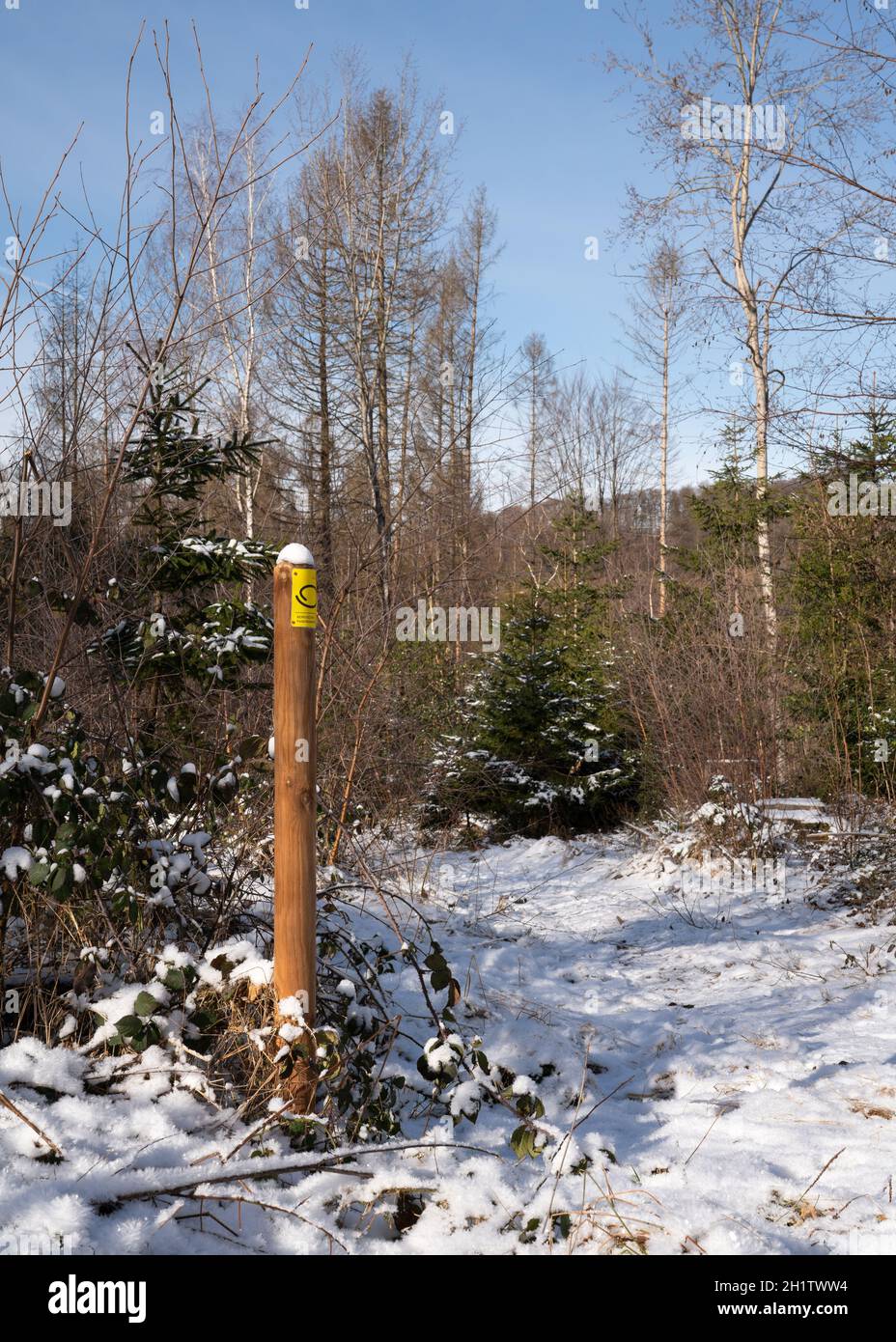 LINDLAR, ALLEMAGNE - 14 FÉVRIER 2021 : sentier de randonnée de longue distance Bergischer Panoramasteig en hiver avec un accent sur le typique waymark de février Banque D'Images