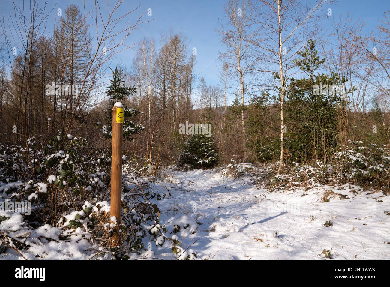 LINDLAR, ALLEMAGNE - 14 FÉVRIER 2021 : sentier de randonnée de longue distance Bergischer Panoramasteig en hiver avec un accent sur le typique waymark de février Banque D'Images