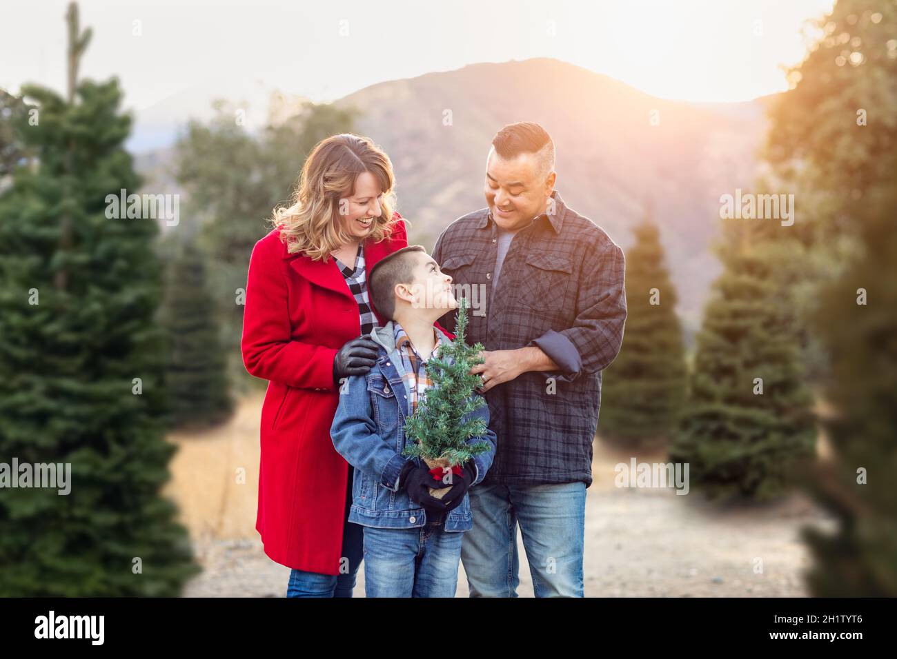 Mixed Race Family Outdoors at Christmas Tree Farm. Banque D'Images