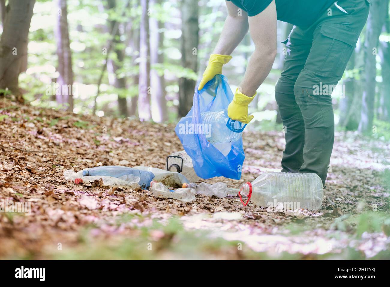 Ramasser les déchets de plastique à la main pour nettoyer les bois ou les parcs. Protection de l'environnement, Journée de la Terre, concept de bénévole. Banque D'Images