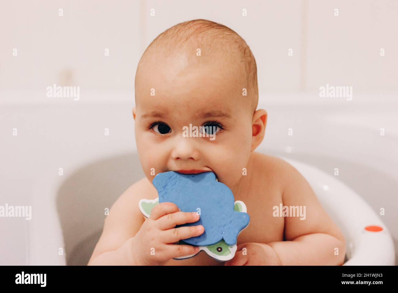 Bebe Drole Et Doux Prenant Un Bain Bebe Machant Un Jouet Dans Une Chaise De Bain Photo Stock Alamy Bebe Drole Et Doux Prenant Un Bain Bebe Machant Un Jouet Dans Une Chaise De Bain Photo Stock Alamy