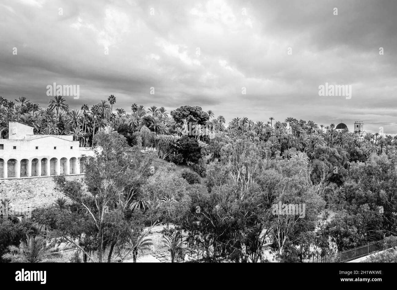 ELCHE, ESPAGNE - 29 DÉCEMBRE 2018 : vue sur la palmeraie et la rivière Vinalopo dans la ville d'Elche, province d'Alicante, Espagne Banque D'Images