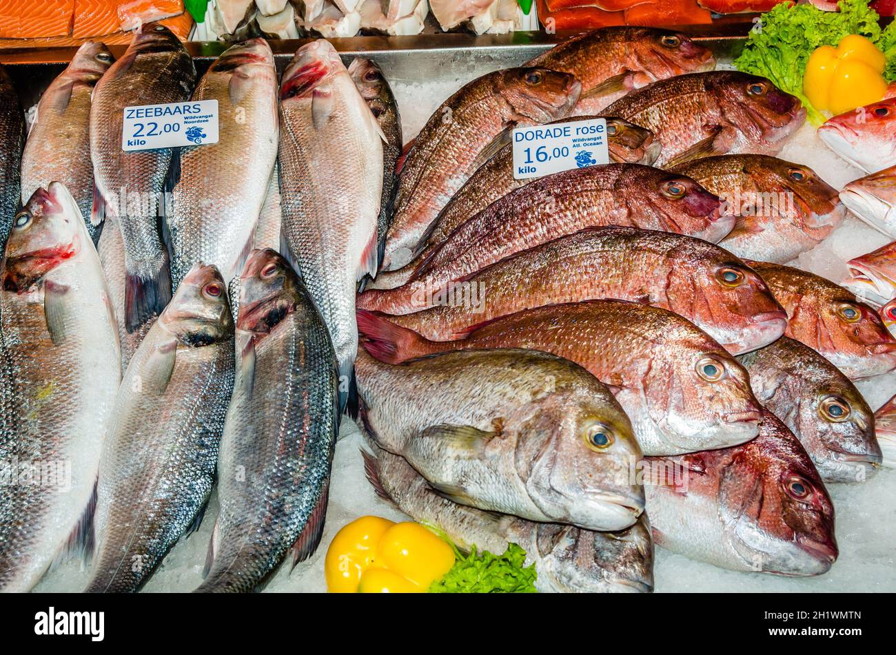 AMSTERDAM, PAYS-BAS - 17 NOVEMBRE 2018 : cale de poisson frais dans le marché Albert Cuyp, un marché de rue et une attraction touristique à Amsterdam, le Banque D'Images