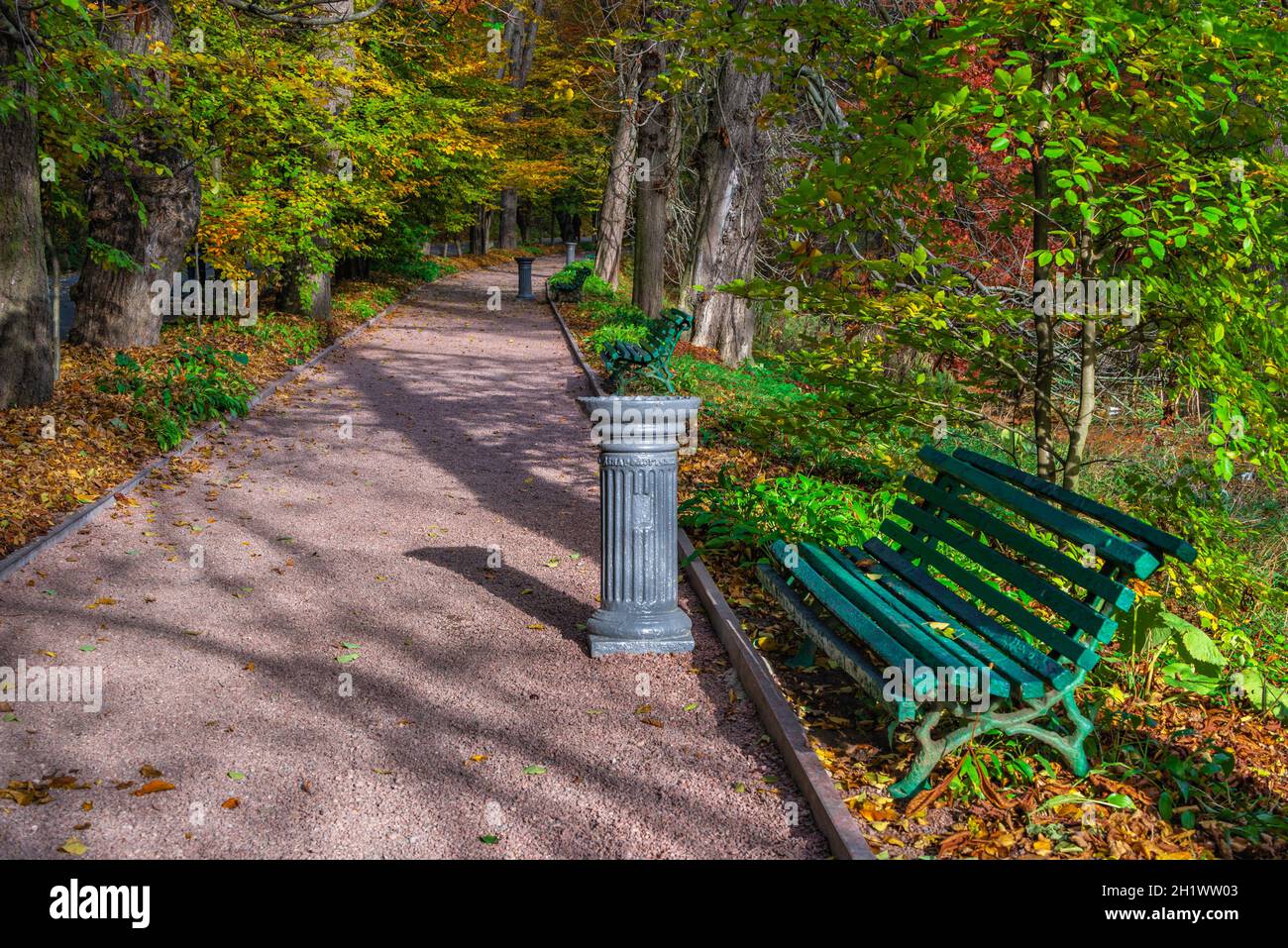 Allée dans l'arboretum de Sofievsky ou le parc de Sofiyivsky à Uman, en Ukraine, par une journée d'automne ensoleillée Banque D'Images