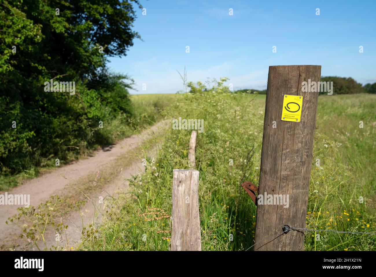 WIPPERFURTH, ALLEMAGNE - 19 JUIN 2021 : sentier de randonnée de longue distance Bergischer Panoramasteig avec accent sur le typique waymark le 19 juin 2021 en allemand Banque D'Images