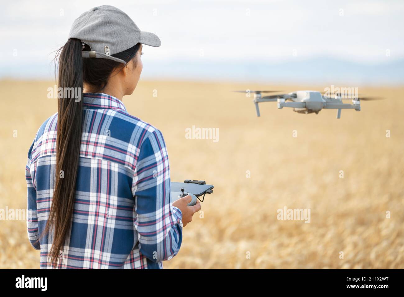 Une agricultrice qui vole un drone au-dessus du champ de blé à l'aide d'un contrôleur, vérifiant la productivité à l'aide de la technologie moderne . Photo de haute qualité. Banque D'Images