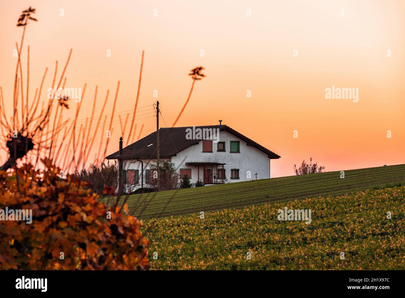 Coucher de soleil coloré avec maison ancienne, arbre rouge et ciel orange à Cossonay, Suisse Banque D'Images