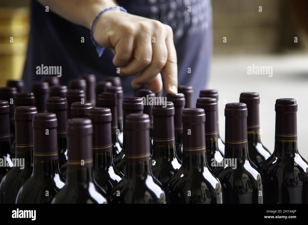 Détail de la personne qui prend une bouteille de vin rouge Banque D'Images