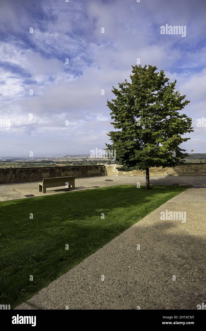 Détail du parc extérieur, de la nature et de la déconnexion dans la ville Banque D'Images